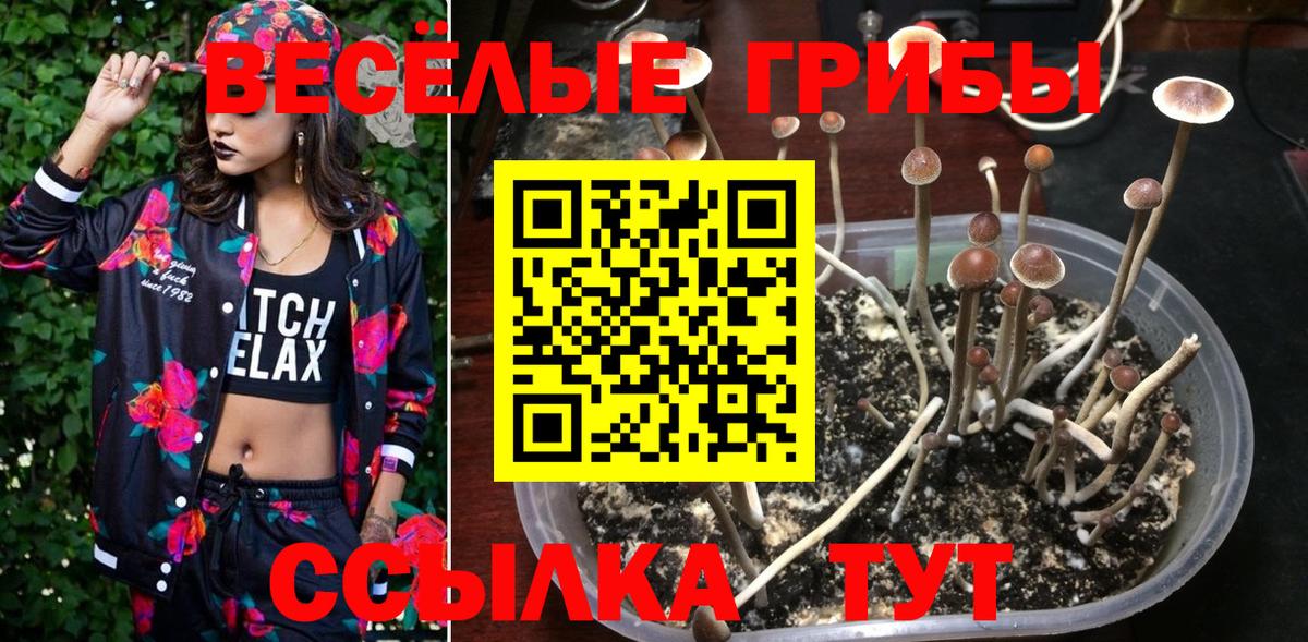 Галлюциногенные грибы ЛСД  Вход с VPN  Орехово-Зуево 